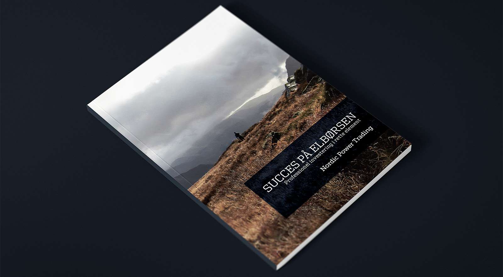 Nordic Power Trading magazine cover Nordic Power Trading magazine cover